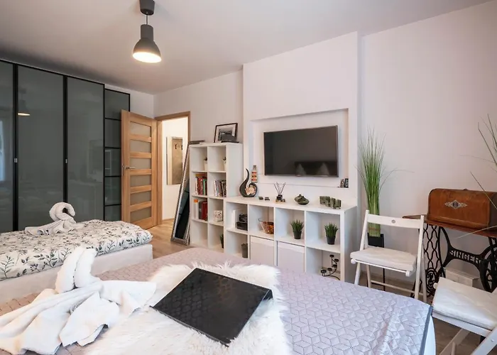 06 Centrum - Mieszkanie Dla 4 Os